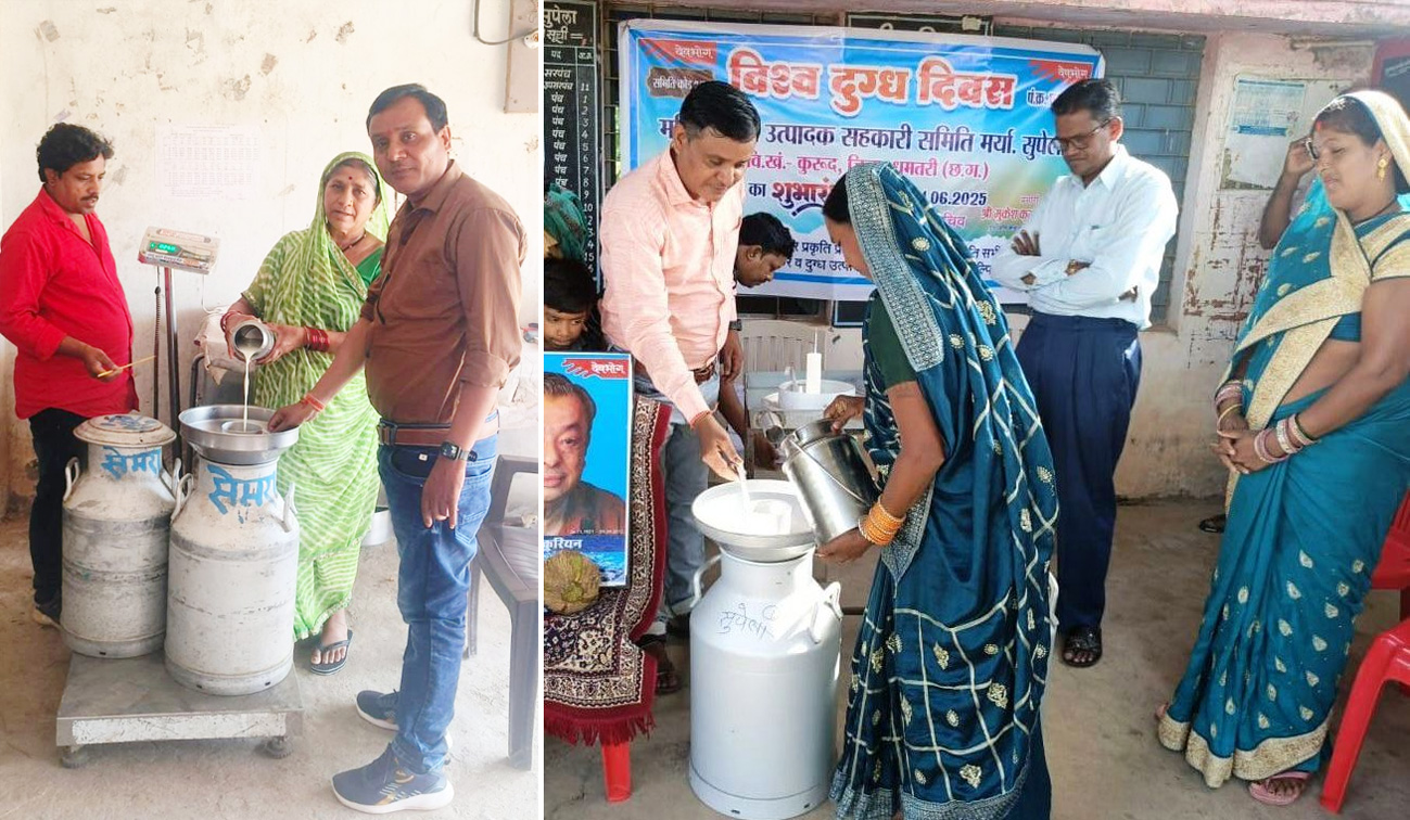 श्वेत क्रांति की नई पहचान धमतरी जिला, दुग्ध व्यवसाय से बदली ग्रामीण अर्थव्यवस्था