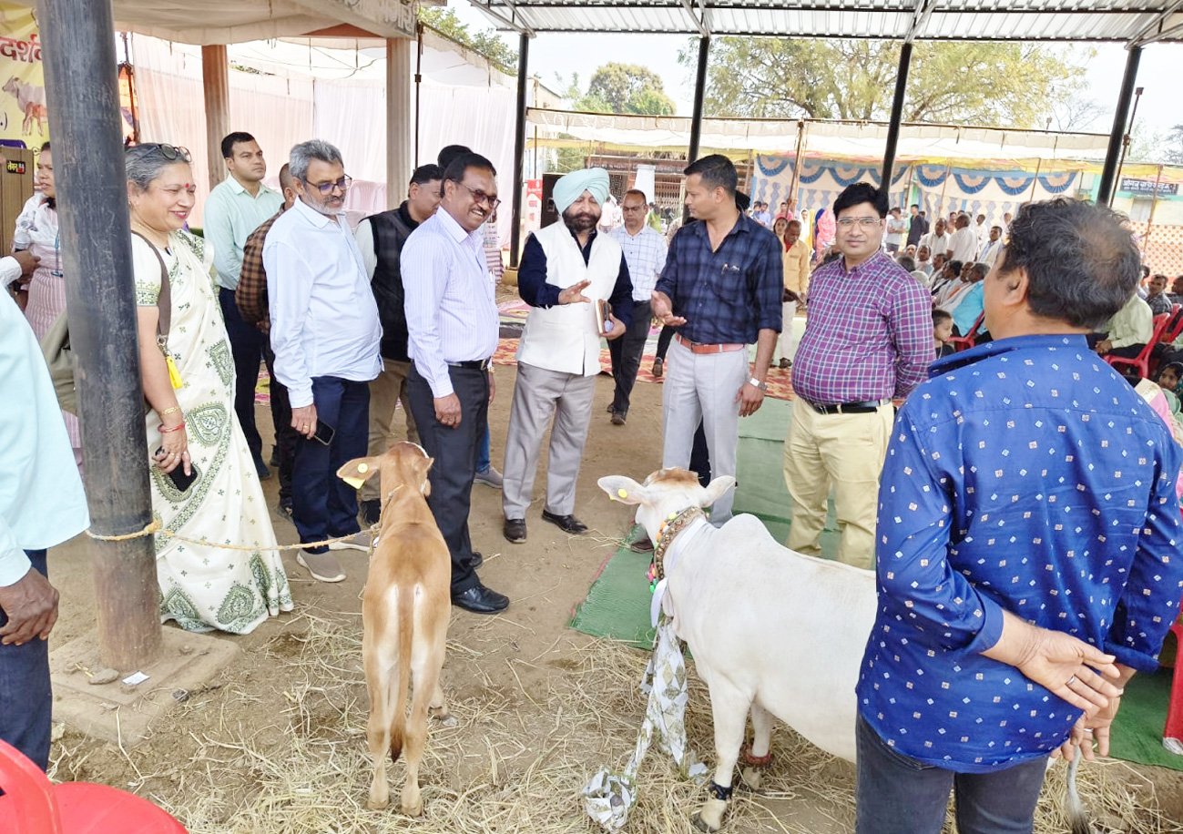 केन्द्रीय पर्यवेक्षकों ने छत्तीसगढ़ में पशुधन योजनाओं का लिया फीडबैक