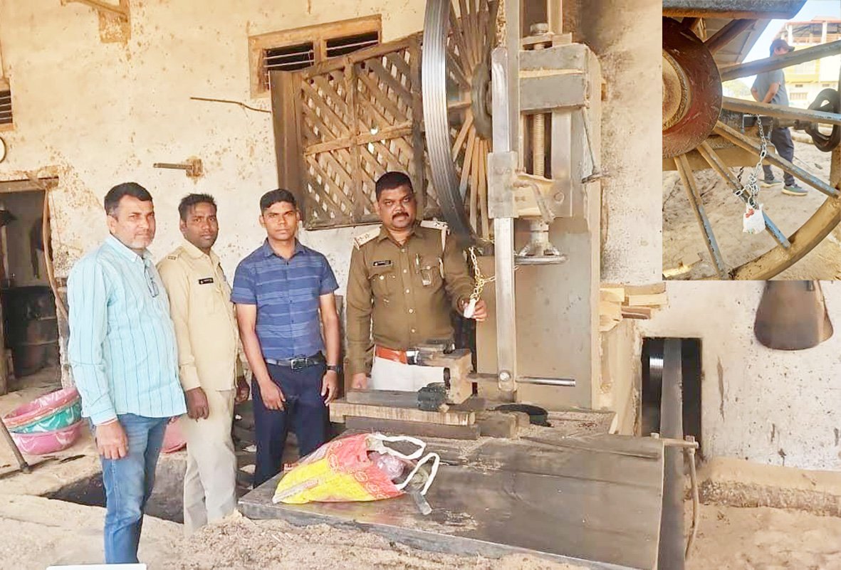 सक्ती वन परिक्षेत्र एवं उड़नदस्ता की संयुक्त कार्रवाई