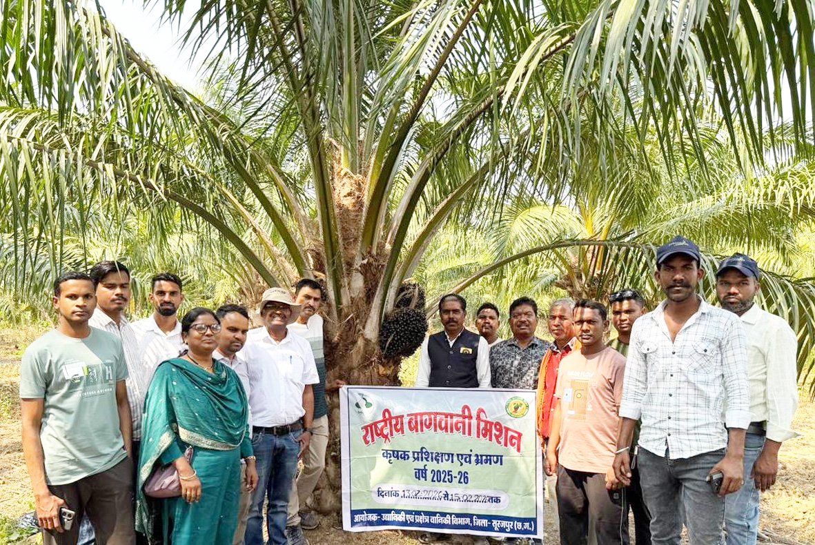 छत्तीसगढ़ के किसानों ने ओडिशा में देखी ऑयल पाम की खेती
