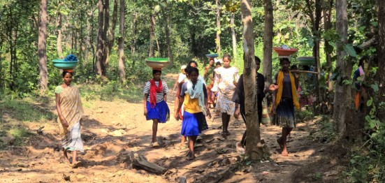 नक्सलवाद के साये से निकलता अबूझमाड़ — झारावाही में ग्रामीणों ने श्रमदान से शुरू किया पारंपरिक घोटूल निर्माण, लौट रही आदिवासी पहचान