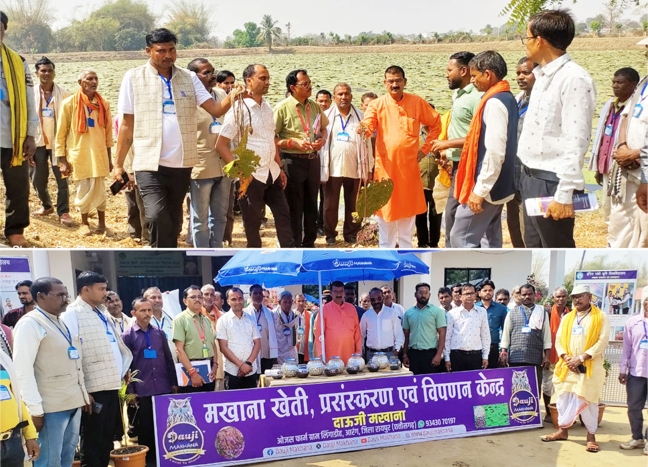 मध्यप्रदेश के किसानों का ग्राम लिंगाडीह आरंग में मखाना खेती भ्रमण एवं प्रशिक्षण संपन्न