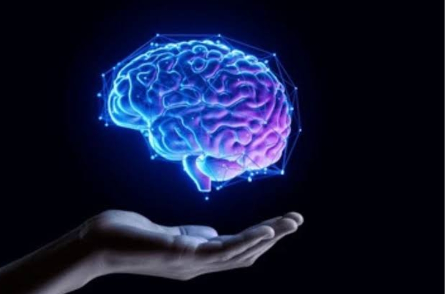         ह्यूमन ब्रेन में नई खोज: ब्रेन का विकास 30 साल की उम्र तक चलता रहता है                                    