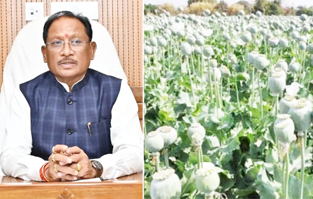अफीम की अवैध खेती पर मुख्यमंत्री विष्णुदेव साय का कड़ा रुख