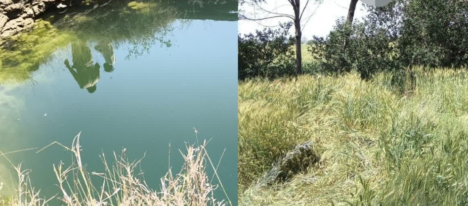 सागर में दिल दहलाने वाली घटना: मां ने चार बेटियों को कुएं में फेंका, फिर खुद भी दे दी जान — पांच मौतें