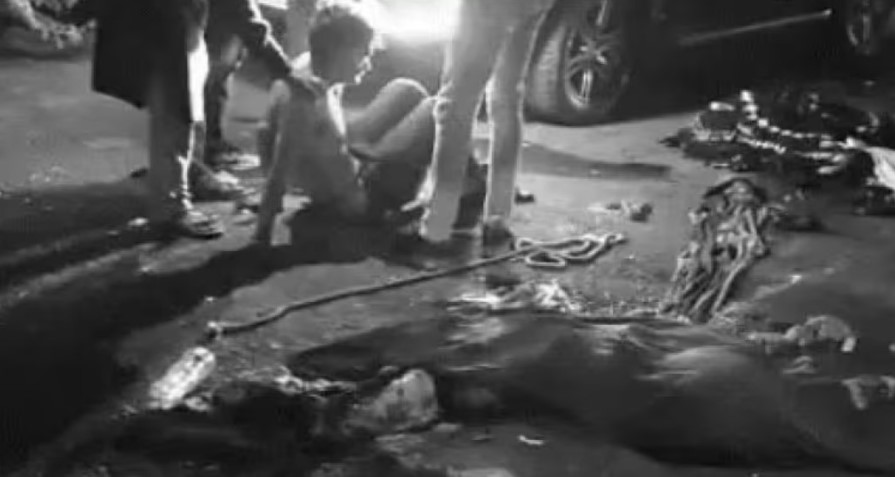 गुजरात में दर्दनाक सड़क हादसा: तेज रफ्तार ट्रक ने श्रद्धालुओं को कुचला, 7 की मौत, 4 गंभीर