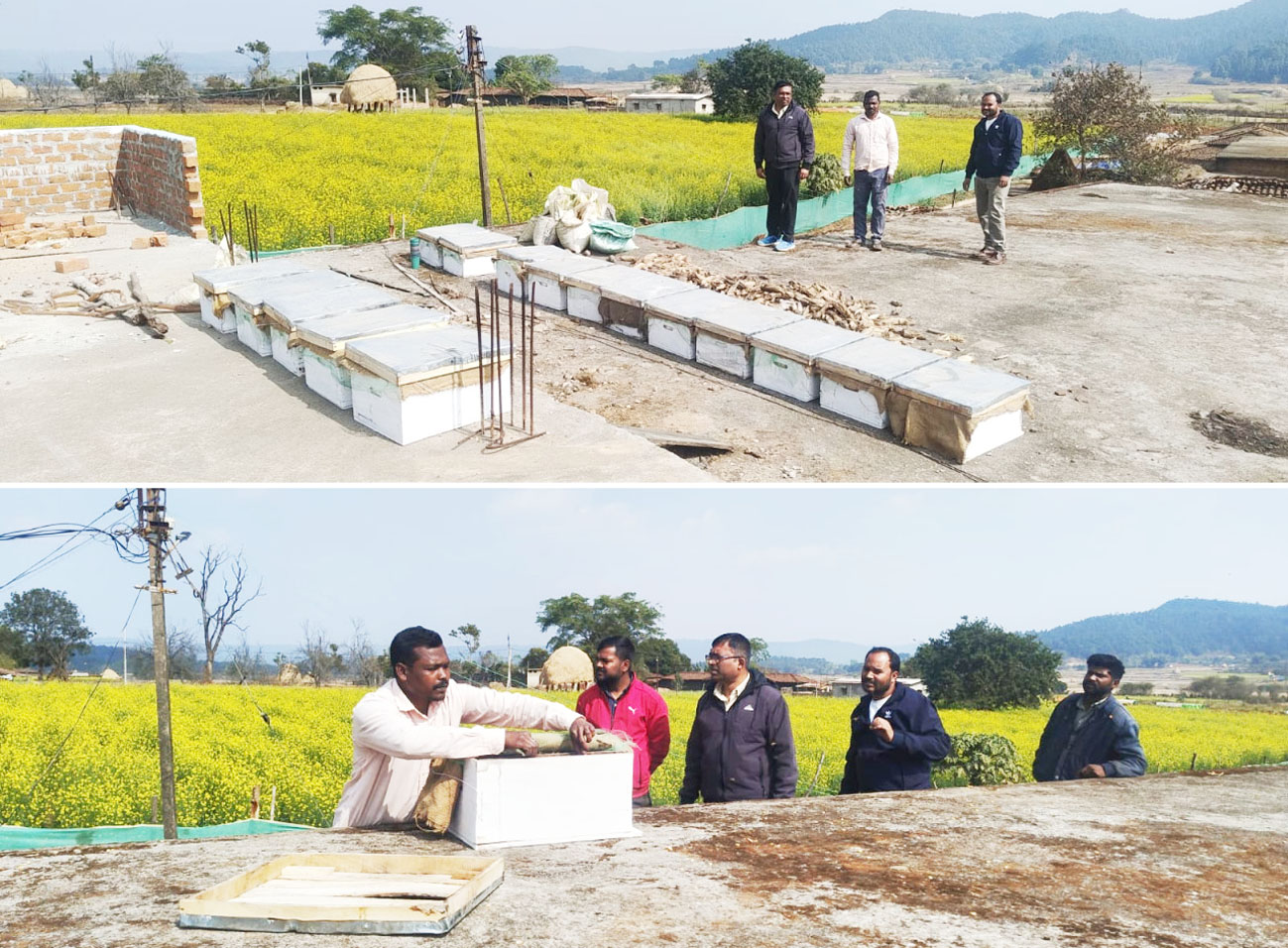 मधुमक्खी पालन : कम लागत में ज्यादा मुनाफे का बेहतर विकल्प