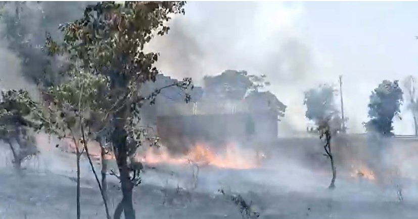 मनेन्द्रगढ़ में लघु वनोपज गोदाम परिसर में भीषण आग, लाखों की संपत्ति नष्ट