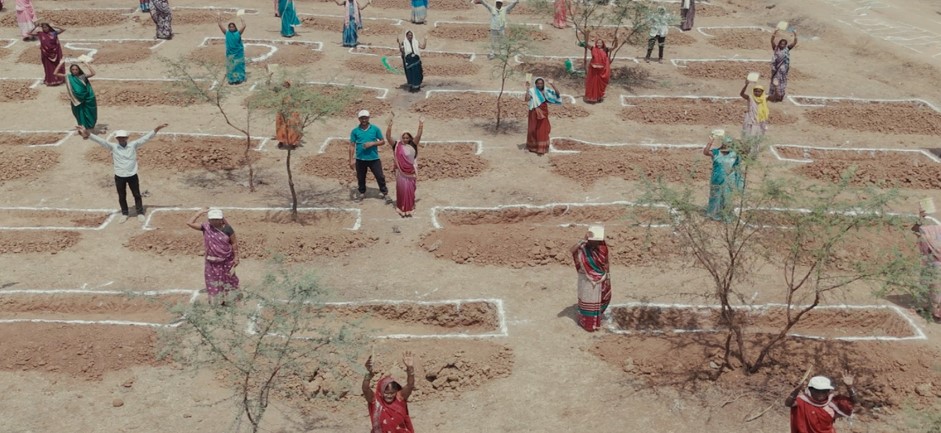 बस्तर में तकनीक और हौसले से महकी तुलसा बघेल की बाड़ी