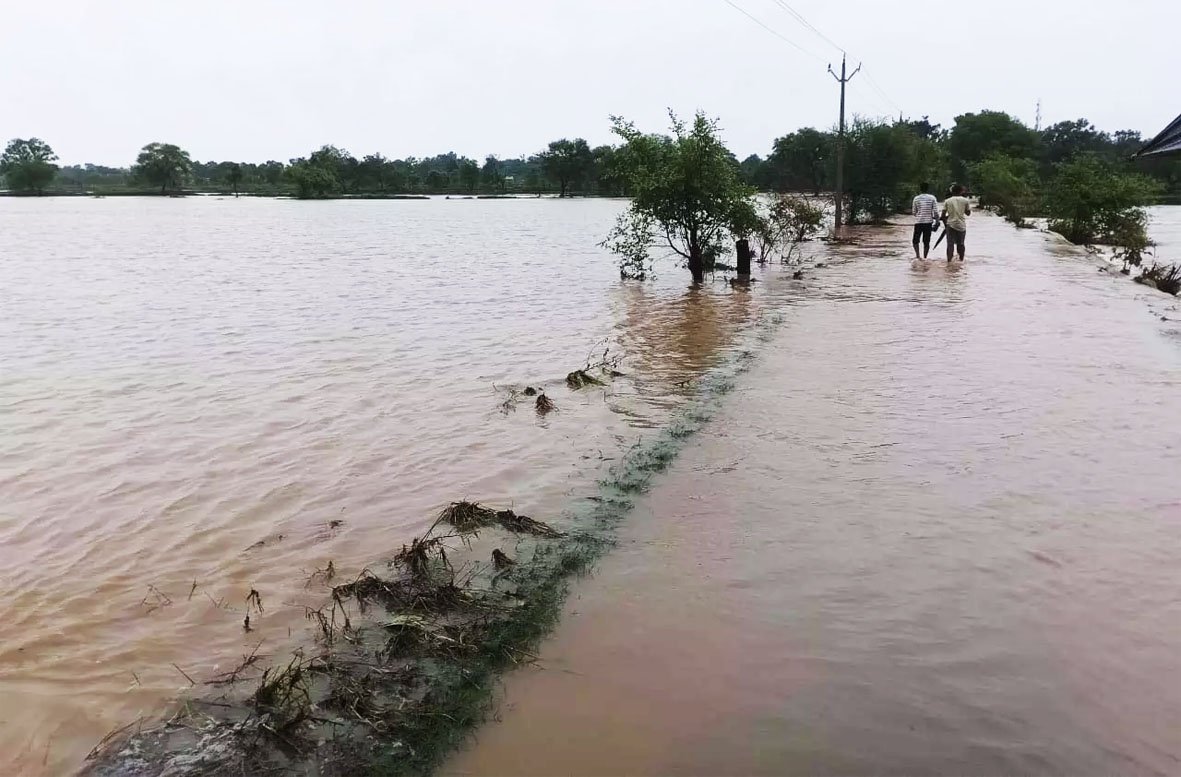 महासमुंद में मानसून मेहरबान, जिले में अब तक 724.7 मिमी औसत वर्षा