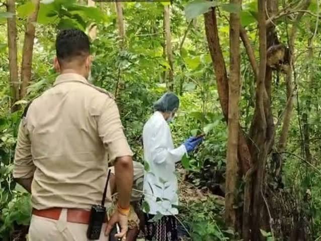 अंबिकापुर के महामाया पहाड़ पर युवती का कंकाल मिलने से सनसनी