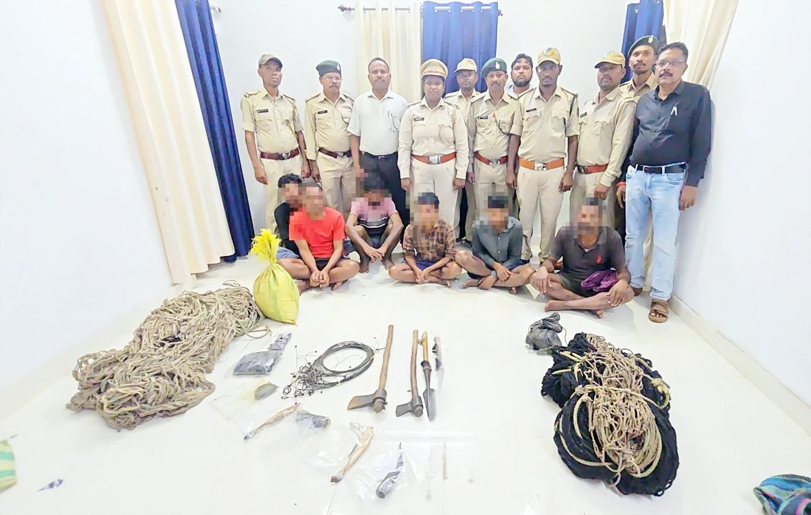 इन्द्रावती टाइगर रिजर्व में वन्यजीव शिकार पर बड़ी कार्रवाई, 6 आरोपी गिरफ्तार