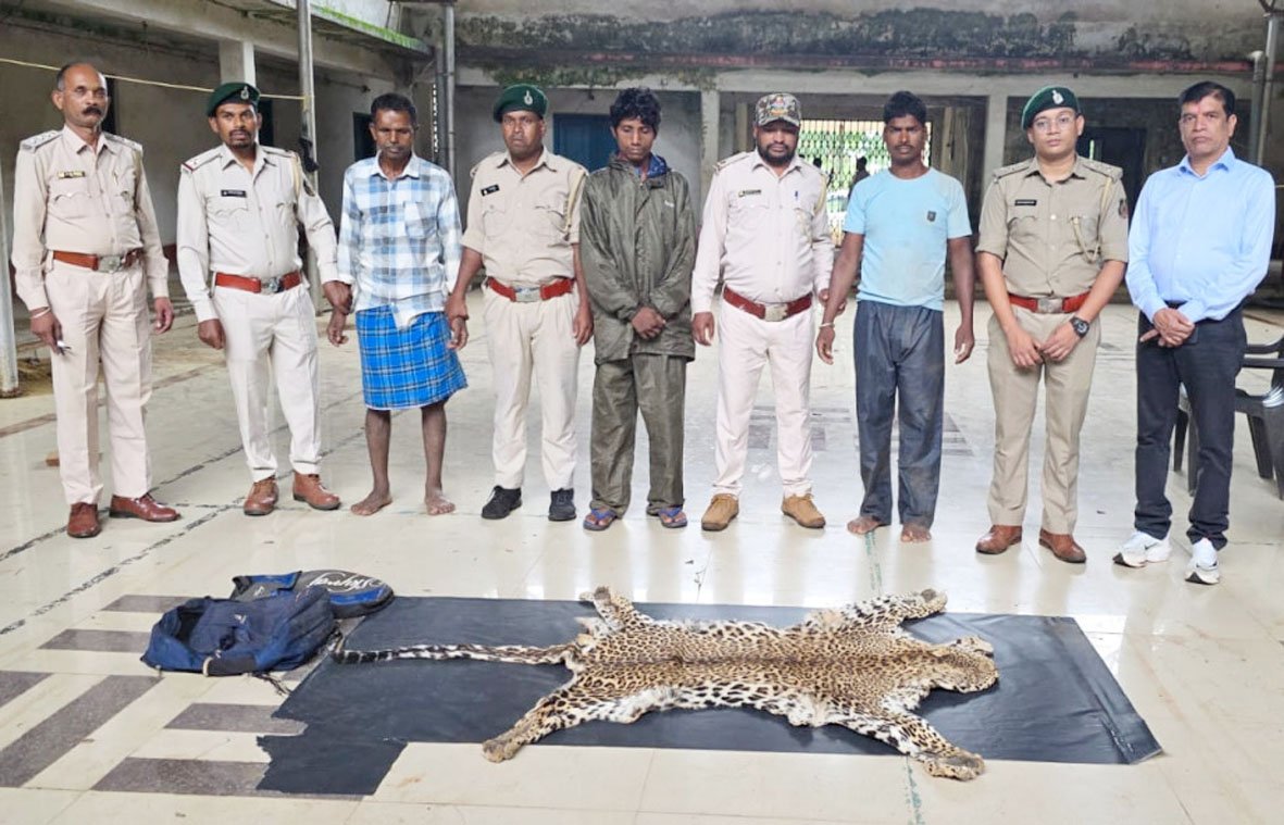 धौड़ाई में वन विभाग की बड़ी कार्रवाई : 3 आरोपियों के कब्जे से तेंदुए की खाल जब्त