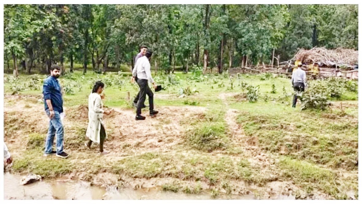 बिलासपुर कोटा में मिले मलेरिया के 3 नए मरीज, स्वास्थ्य शिविर लगाकर किया जा रहा  इलाज