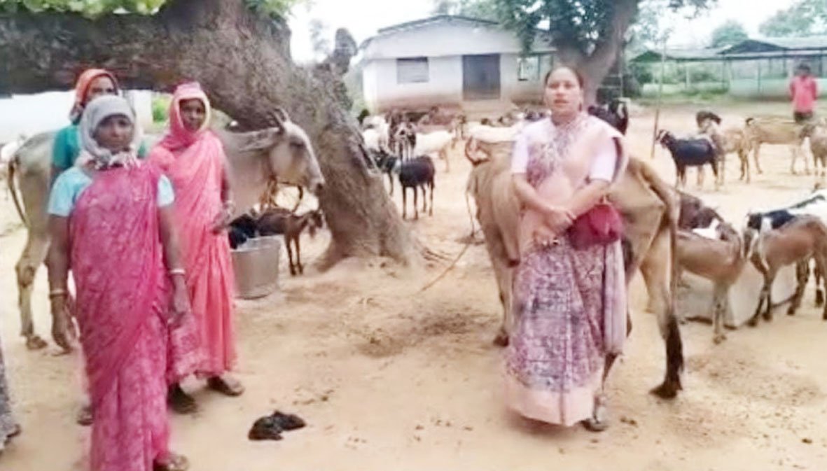 छिपली दीदियों ने बकरी पालन से शुरू कर खड़ा किया बहुआयामी आजीविका का साम्राज्य