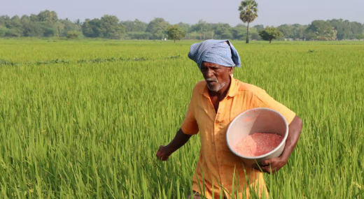 हरियाणा के किसानों के लिए बड़ी खुशखबरी, जिप्सम पर मिलेगी 50% सब्सिडी
