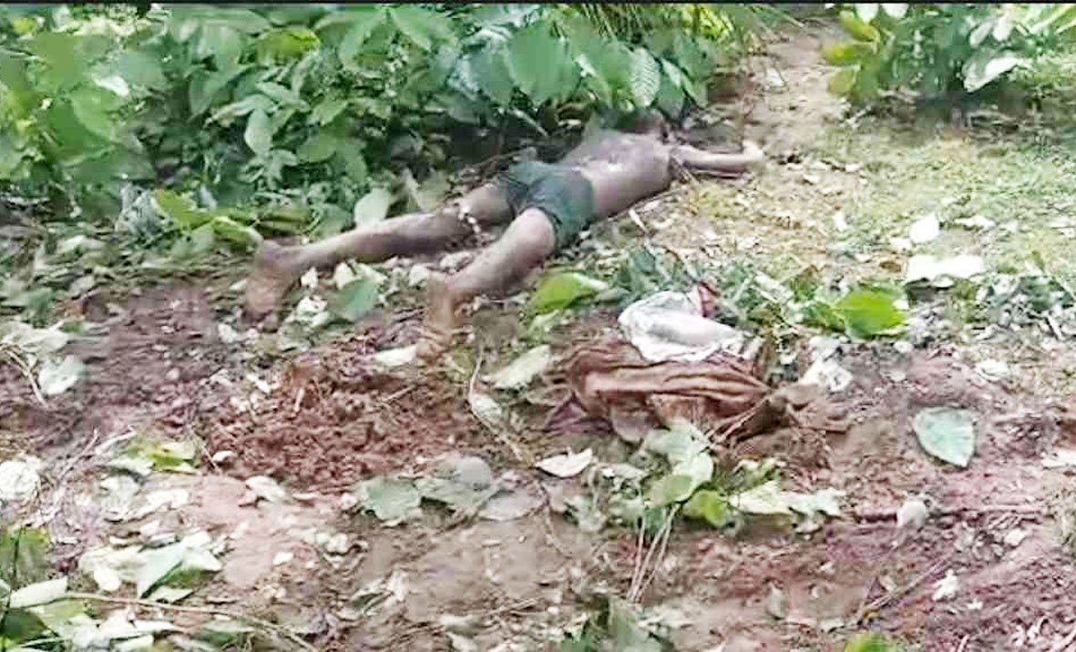 हाथी का आतंक : खेत में काम करने गए किसान को उतारा मौत के घाट