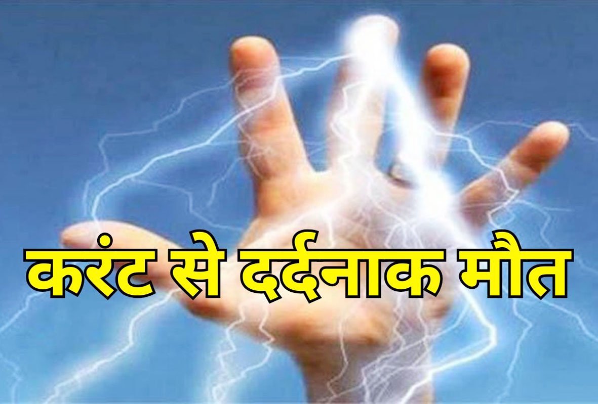 हाईवोल्टेज करंट ने छीना परिवार का सहारा, पेड़ पर चढ़े युवक की दर्दनाक मौत