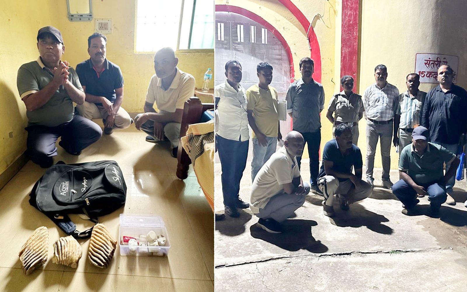 हाथीदांत तस्करी पर वन विभाग की बड़ी कार्रवाई, तीन आरोपी गिरफ्तार