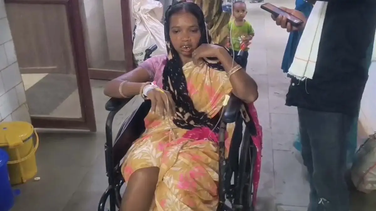 जंगल में अचानक भालू ने बोला हमला, दो पुरुष और महिला गंभीर घायल