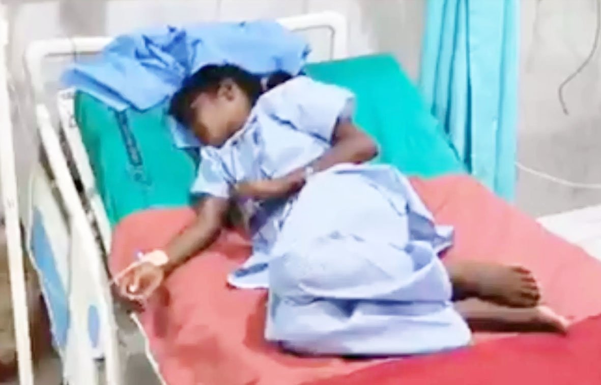 महाराष्ट्र के गढ़चिरौली में जहरीले सांप के डसने से 3 छात्राओं की मौत