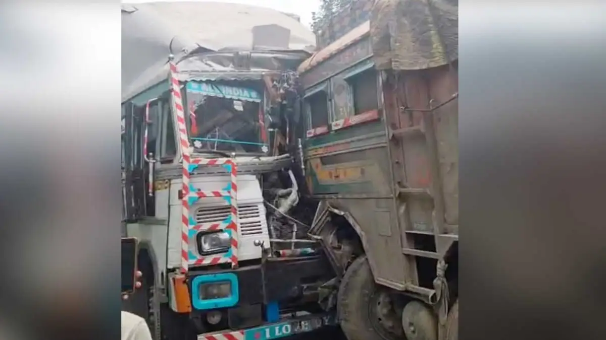 जशपुर में तीन ट्रकों की भिड़ंत, सड़क पार कर रही 18 बकरियों की मौत