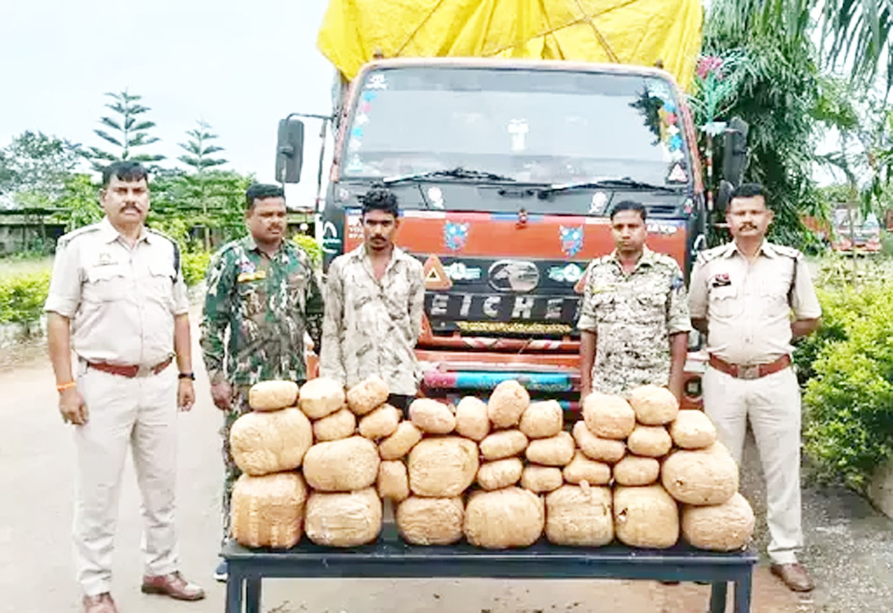 छत्तीसगढ़ और ओडिशा राज्य की सरहद पर एक ट्रक से 73 किलो गांजा जब्त