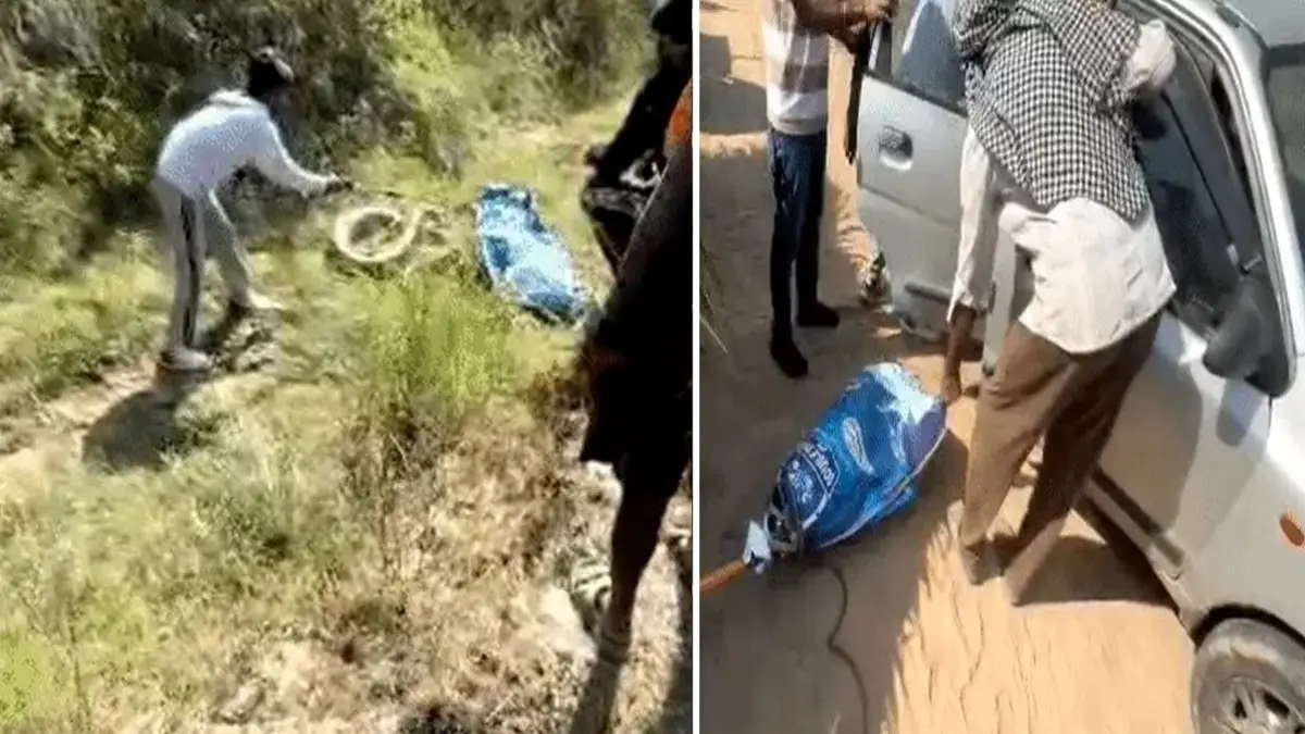 Ambala News: नेशनल हाईवे पर मिला 13 फीट लंबा विशाल अजगर, 93 किलो वजन देख दंग रह गए लोग; 2 घंटे में रेस्क्यू