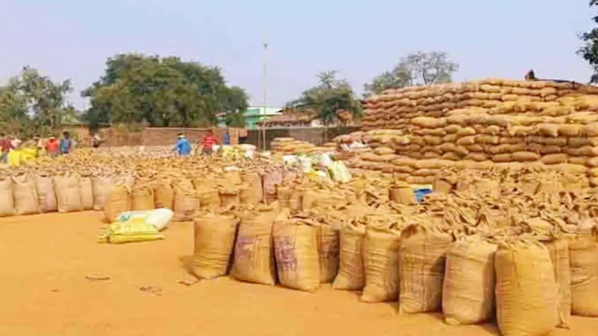 छत्तीसगढ़ में धान खरीदी की तैयारी तेज, 31 जनवरी तक चलेगी प्रक्रिया