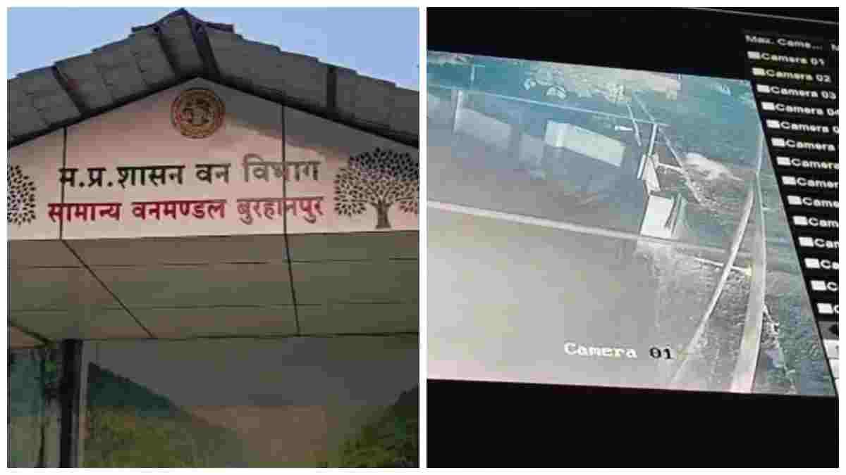 बुरहानपुर में घनी आबादी के बीच मैरिज हॉल में घुसा तेंदुआ, CCTV में कैद हुई तस्वीर; वन विभाग अलर्ट
