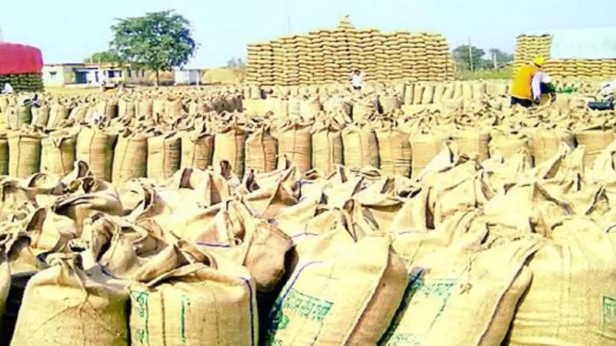 धान खरीदी में गड़बड़ी पर बड़ी कार्रवाई, 38 कर्मियों पर गिरी गाज