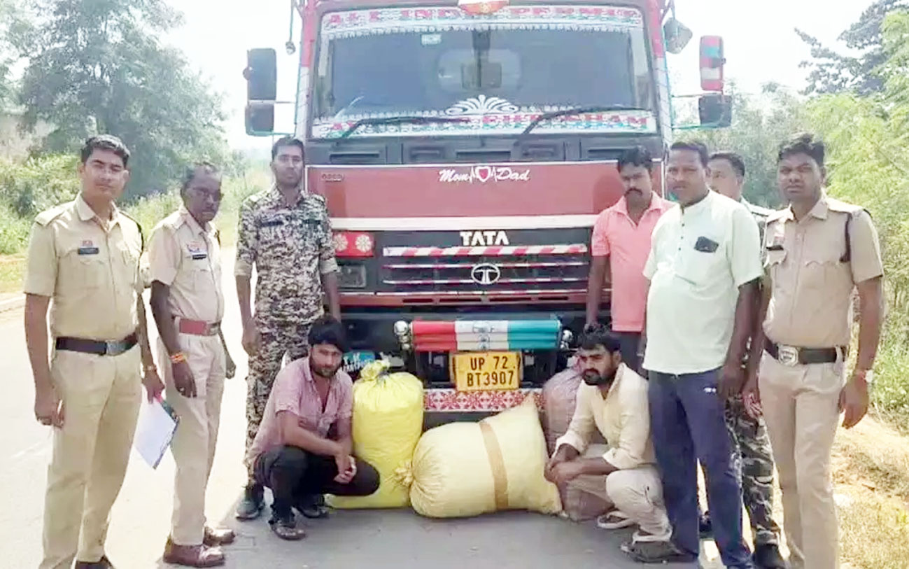 महासमुंद में ओडिशा से उत्तर प्रदेश ले जाया जा रहे ट्रक की चेकिंग, 12 लाख का गांजा जब्त