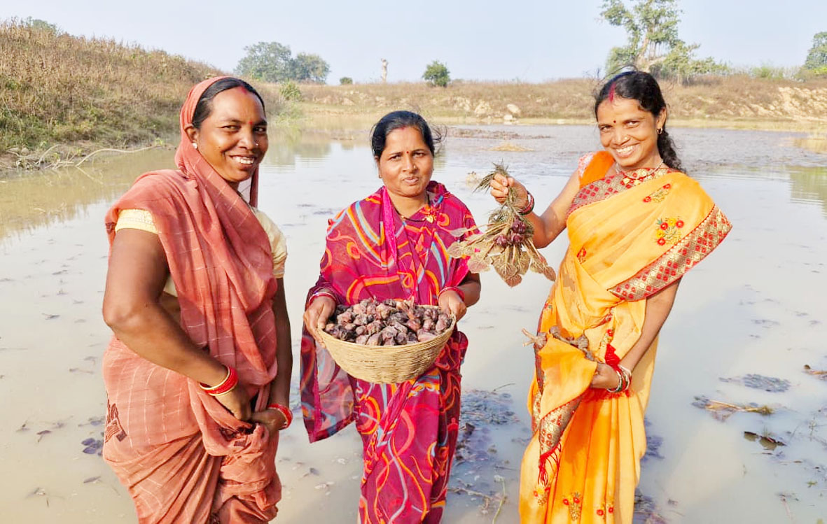 महिला स्व-सहायता समूह की मेहनत रंग लाई, मछली पालन और सिंघाड़ा खेती से बढ़ी आमदनी
