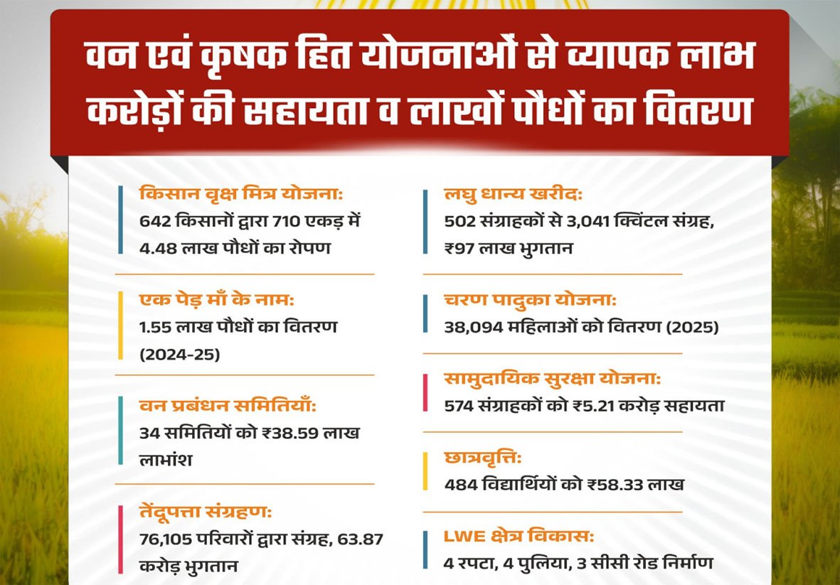 हरियाली से आर्थिक रूप से सशक्त हुए मोहला जिले के ग्रामीण