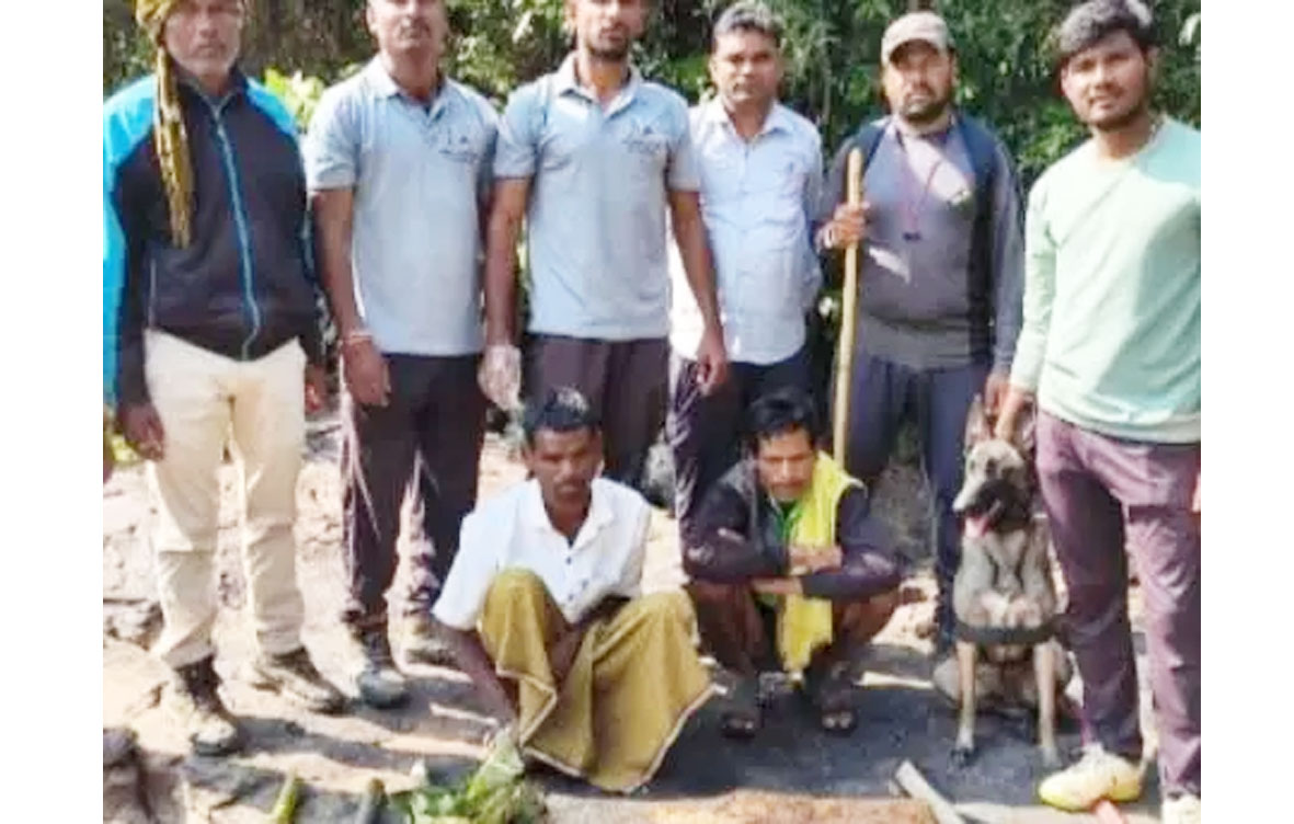 सांभर को मारने वाले 12 शिकारी गिरफ्तार, फरार आरोपियों की तलाश जारी