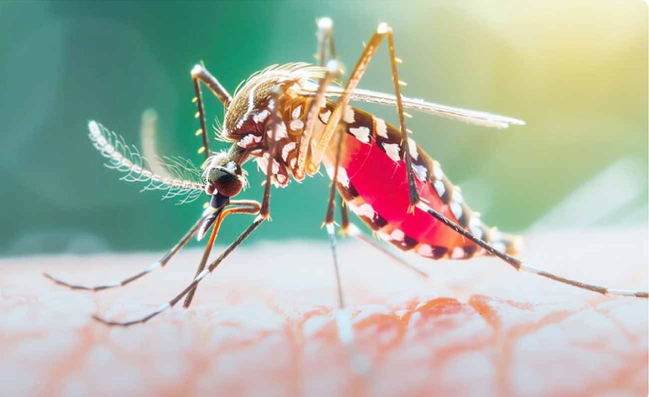 छत्तीसगढ़ में मलेरिया के खिलाफ निर्णायक बढ़त- 61.8% बिना लक्षण वाले मरीज समय पर पहचाने गए