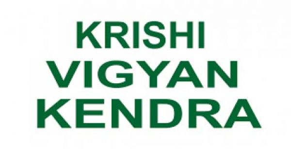 कृषि विज्ञान केंद्र बेमेतरा मे वृक्षारोपण सह राष्ट्रीय पोषण वाटिका कार्यक्रम का हुआ आयोजन