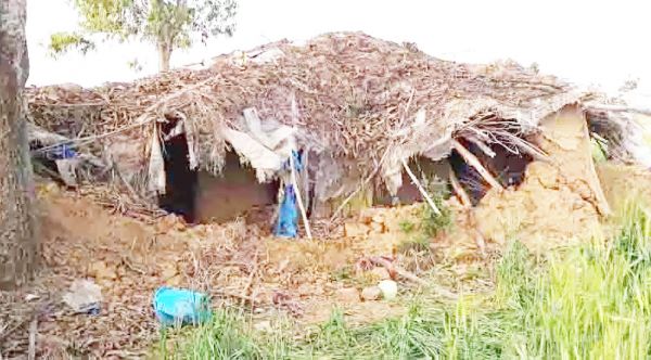 हाथियों के झुंड ने मचाया आतंक, ग्रामीणों के घर को किया तबाह