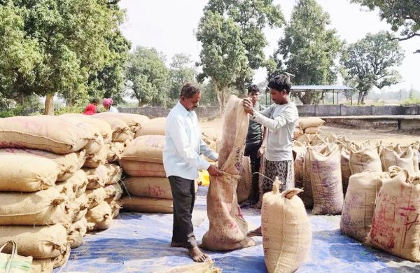 किसान विश्वनाथ धान बेचकर चुकाएंगे अपना कर्ज