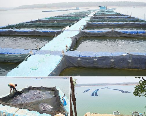 छत्तीसगढ़ के कोरबा जिले में बनेगा राज्य का पहला एक्वा पार्क