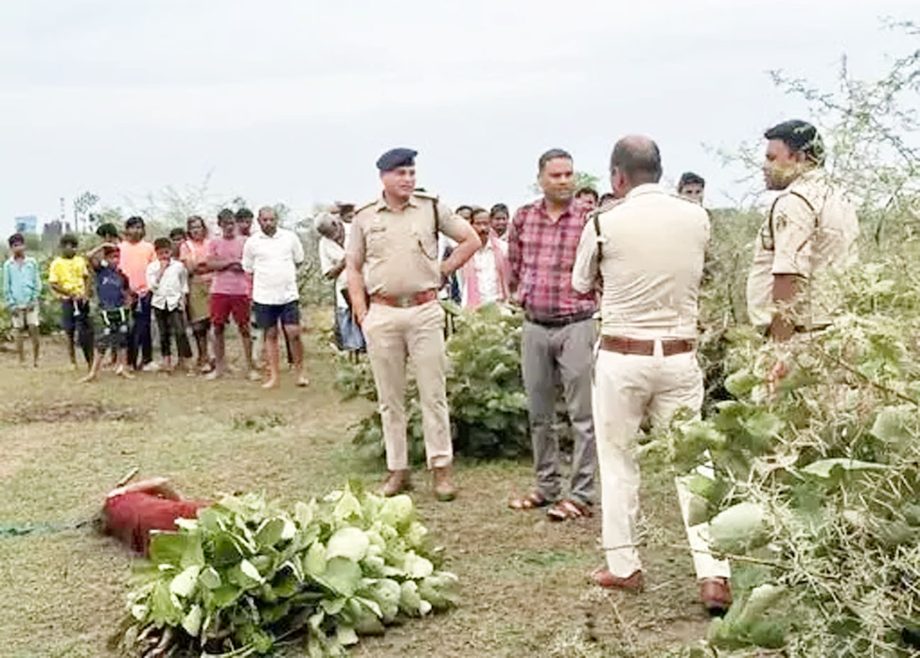 बिलासपुर में महिला की कुल्हाड़ी मारकर जघन्य हत्या