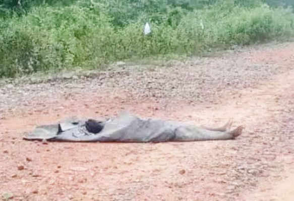 मुखबिरी का आरोप, नक्सलियों ने की ग्रामीण हत्या लगाया पुलिस