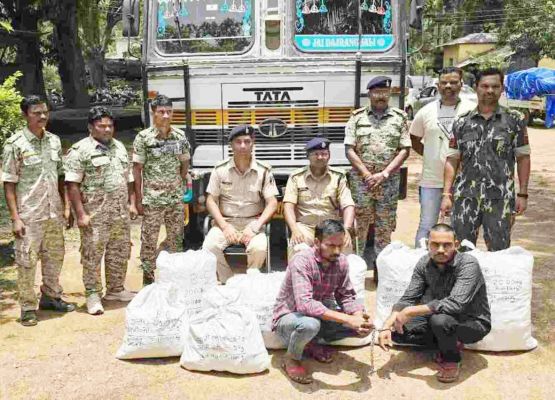 रायपुर पासिंग ट्रक में मिला 11 लाख का गांजा, दो गिरफ्तार