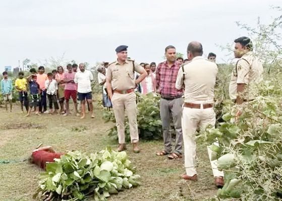 बिलासपुर में महिला की कुल्हाड़ी मारकर जघन्य हत्या