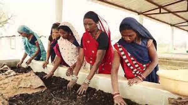  रायपुर : गौठानों से जुड़कर स्व सहायता समूह की महिलाएं संवार रहीं अपना भविष्य