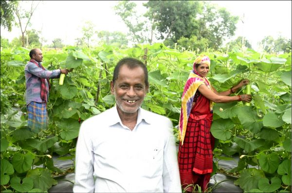  बिलासपुर : उद्यानिकी फसल से समृद्ध हुए किसान श्री कुर्रे क्षेत्रवासियों के लिए बने प्रेरणास्त्रोत