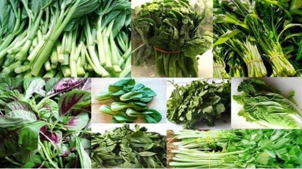 सर्दियों में हरी सब्जियों  खाने के फायदे जानिए 