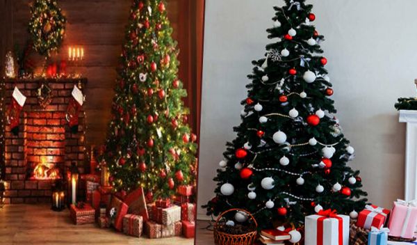  घर में क्रिसमस ट्री लगाने के फायदे जानिए 