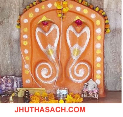  आज है नाग दीपावली,जानिए क्यों मनाया.....पढ़िए पूरी खबर