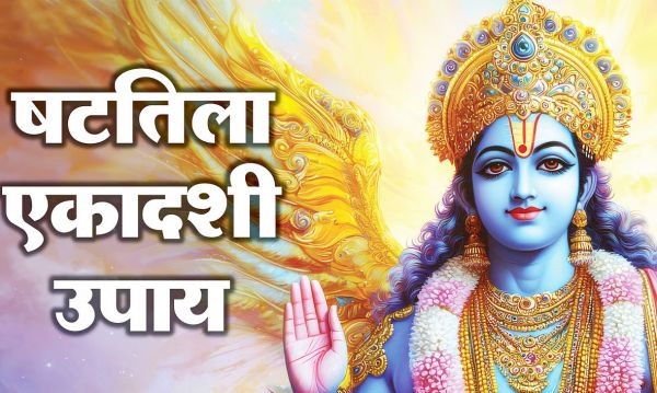 षटतिला एकादशी पर करें 6 उपाय, बढ़ेगी सुख-समृद्धि